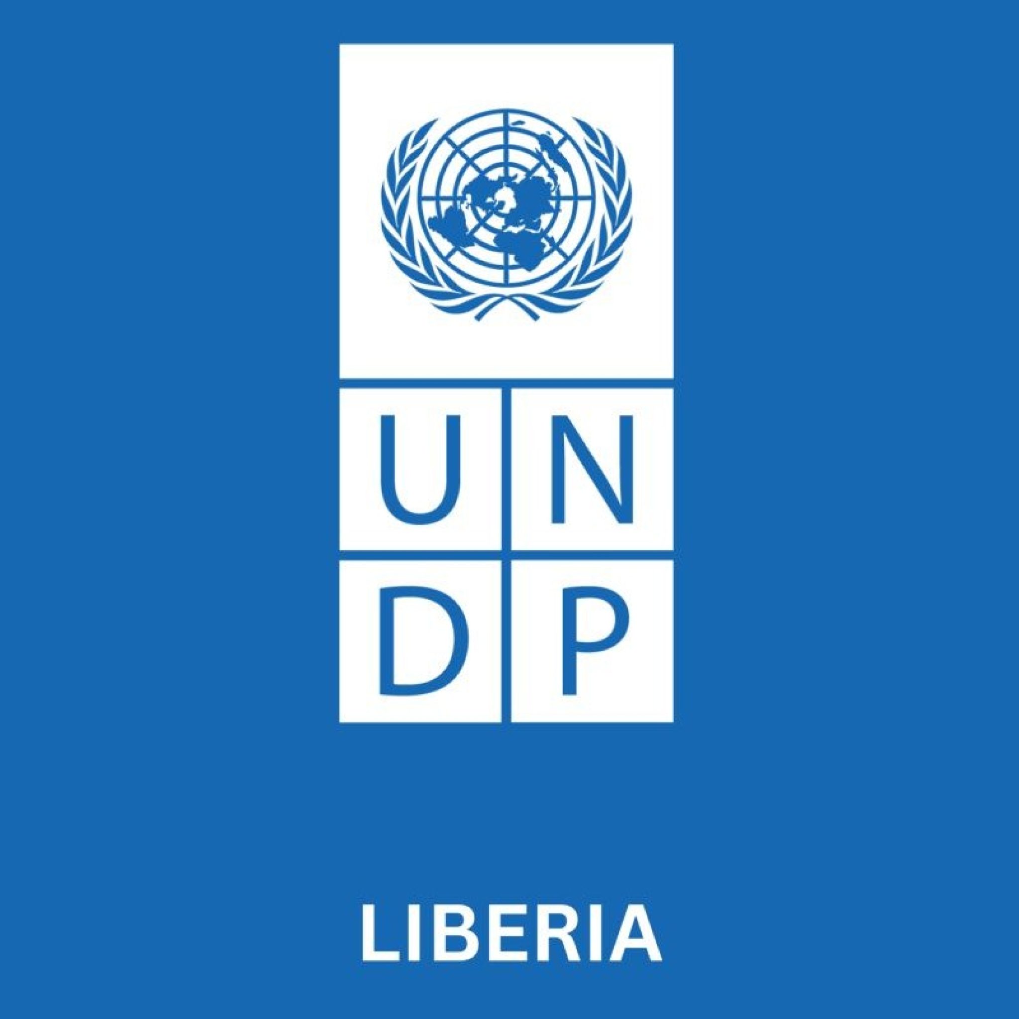 undp 1.jpeg